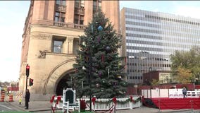 Milwaukee DPW to harvest annual city Christmas tree on Wednesday