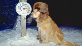 WI Humane Soc., HAWS offer tips on keeping pets safe in cold