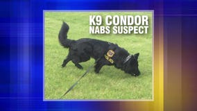 New Berlin K-9 Officer "Condor" praised for helping officers track and nab burglary suspect