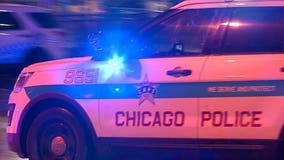 Toddler beaten to death on Chicago's south side; 1 in custody