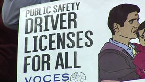 Gov. Evers says proposal to give driver's licenses, IDs to illegal immigrants is 'common sense'