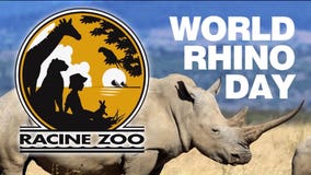 Racine Zoo celebrates all things rhino and teachers