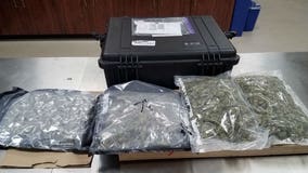 Man arrested in Mount Pleasant after marijuana found during traffic stop