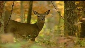 Governor Walker signs bill prohibiting people from bothering hunters in Wisconsin woods