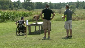 24/7 Battle Buddies Summer Games offers chance for veterans to compete with their dogs