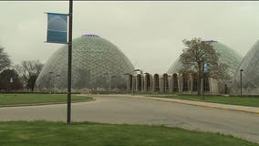 Report: Repair options for the Mitchell Park Domes could cost from $14 million - $64 million