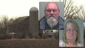 'It was terrible:' Half-eaten rabbits, dead birds and more found on Sheboygan couple's property