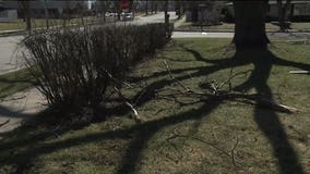 Wind knocks out power for thousands, leads to early dismissal in Whitefish Bay, impacts Bucks arena