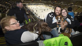 Hockey fans invited to bring dogs to Milwaukee Admirals game Sunday, March 25 🐶🏒