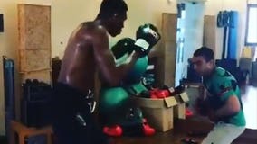 If the basketball thing doesn't last for Giannis, he might have a future in... boxing?!