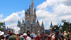 Disney workers: Please stop scattering your relatives' ashes in the park