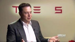 Elon Musk on calls to adopt healthier work-life balance: 'You think this is an option; It is not'