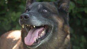 Racine K-9 retires after nearly a decade of service: 'He has done his job'