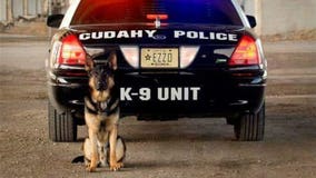 Cudahy police mourn passing of K-9 Ezzo