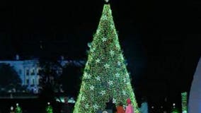 National Christmas Tree lit up on White House lawn