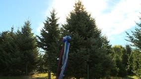 Christmas tree from Oconto tree farm will serve as the official White House Christmas tree