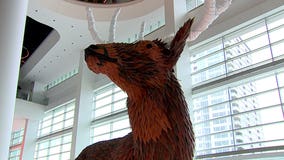 Bucks unveil Wisconsin artists' 1-of-a-kind pieces at new arena