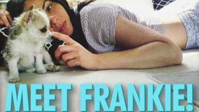 Meet Frankie Rodgers: Packers QB Aaron Rodgers, Olivia Munn welcome new family member