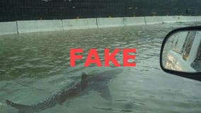 Believe it or not? Don't! 5 fake Hurricane Harvey photos going viral