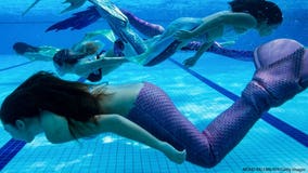 Disney World now has 'mermaid school' at select resorts