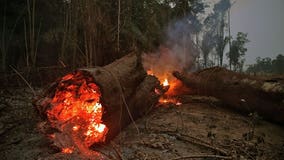 Pope Francis, urging prayers, says Amazon forest vital for our Earth