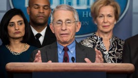 Fauci open to 14-day 'national shutdown' to stem virus