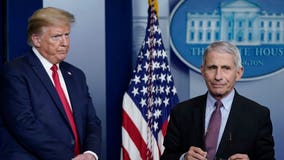 White House blocking Fauci testimony, panel spokesman says