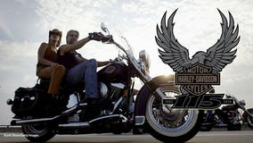 Dream job: Harley-Davidson paid interns get a motorcycle too