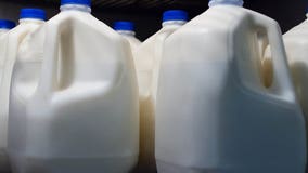 'We are going to buy that milk:' New program sends Wisconsin farmers' dairy to food pantries