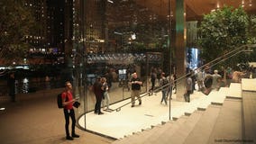 Chicago's new Apple store dimming lights due to bird deaths