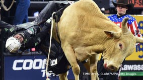 'We're thrilled:' Professional Bull Riders bring 'Toughest Sport on Dirt' to new Bucks' arena in October