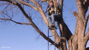 Study: Falls from tree stands result in spinal injury