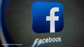 Facebook finds 'sophisticated' efforts to disrupt elections