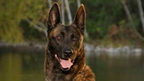 Racine County Sheriff's K-9 Gingiss has died due to illness