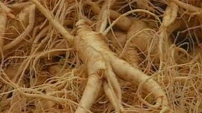 Gov. Walker seeks disaster designation after ginseng losses