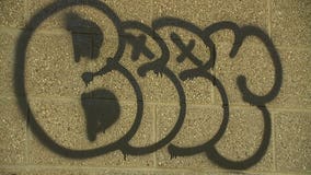 "There's no point to it:" Graffiti cleanup at Sheboygan park costs thousands