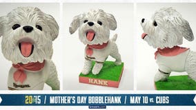 BobbleHank -- take two! Brewers to offer adorable Hank the Dog bobbleheads on Mother's Day!