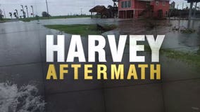 FEMA insurance chief: Harvey losses could top $11 billion