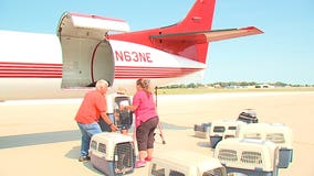 Animals displaced by Hurricane Irma in Florida arrive in Waukesha