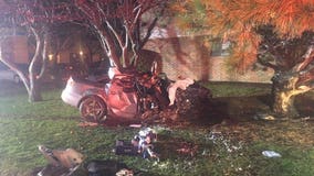 2 injured after car crashes into tree in Mount Pleasant; alcohol, speed appear to be factors