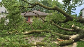 Storms lead to wind damage in SE WI, 25,000 without power Monday afternoon