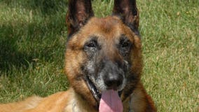 Sad news out of Racine: K-9 officer "Marco" has passed away