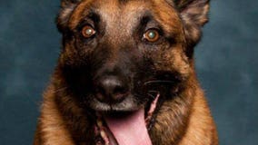 Franklin Police Department says goodbye to beloved K-9 Officer 'Dagger'