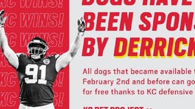 Chiefs player celebrates Super Bowl win by paying adoption fees for shelter dogs