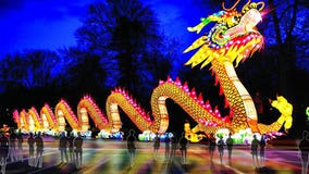 Racine Zoo to debut Chinese Lantern Festival this fall