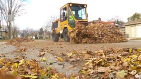 Rake leaves to the curb: Milwaukee leaf collection deadline extended to Nov. 24