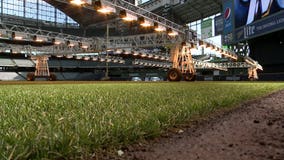 'We maintained it all winter long:' Turf almost ready for Opening Day baseball at Miller Park