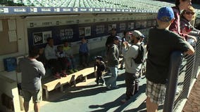 "There's nothing better:" Folks explore the ins and outs of Miller Park, for free!