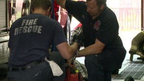 Business as usual on Labor Day for Milwaukee Fire Dept.
