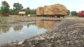 Rain brings a little relief from the drought in Oak Creek